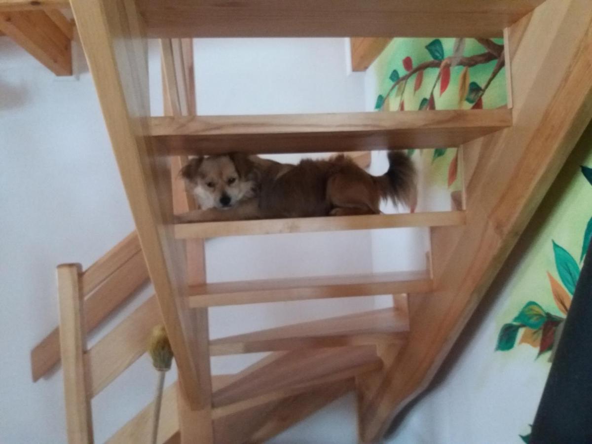 Domek Jaska Baligród Buitenkant foto